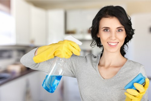 Regular home cleaning service for a flat in NW10