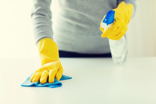 Booking and service agreement details for carpet cleaners