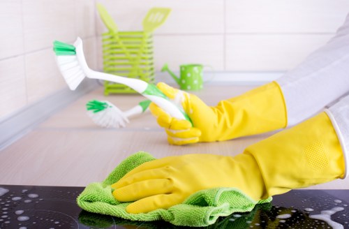 Professional cooker cleaning in a NW10 property