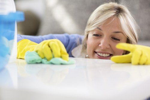 Kitchen and bathroom maintenance as part of regular cleaning in NW10
