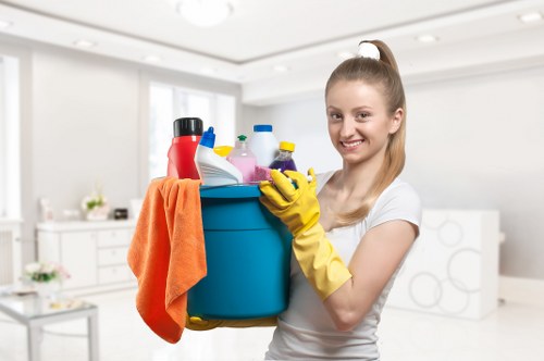 Curtain cleaning preparation and fabric care for NW10 customers